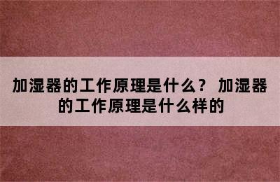 加湿器的工作原理是什么？ 加湿器的工作原理是什么样的